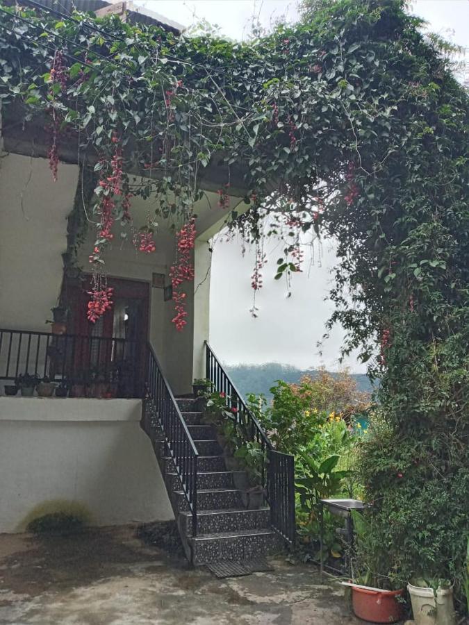 La Rose Guest House نوفارا إيلِيا المظهر الخارجي الصورة