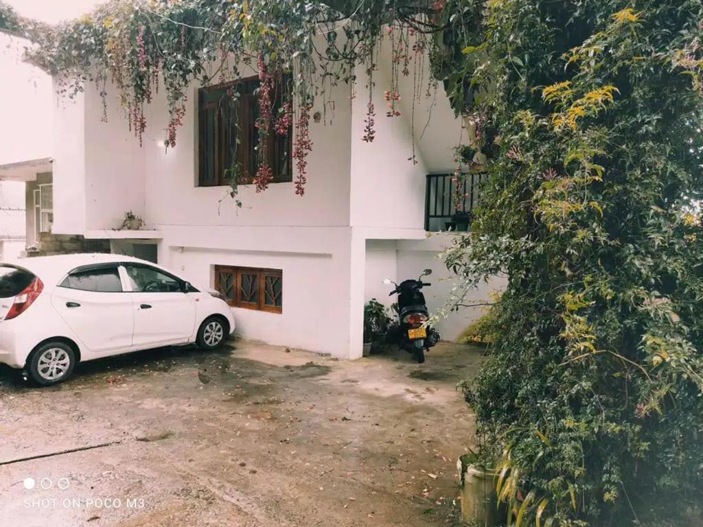 La Rose Guest House نوفارا إيلِيا المظهر الخارجي الصورة