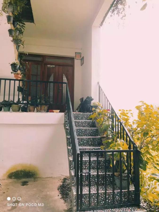La Rose Guest House نوفارا إيلِيا المظهر الخارجي الصورة