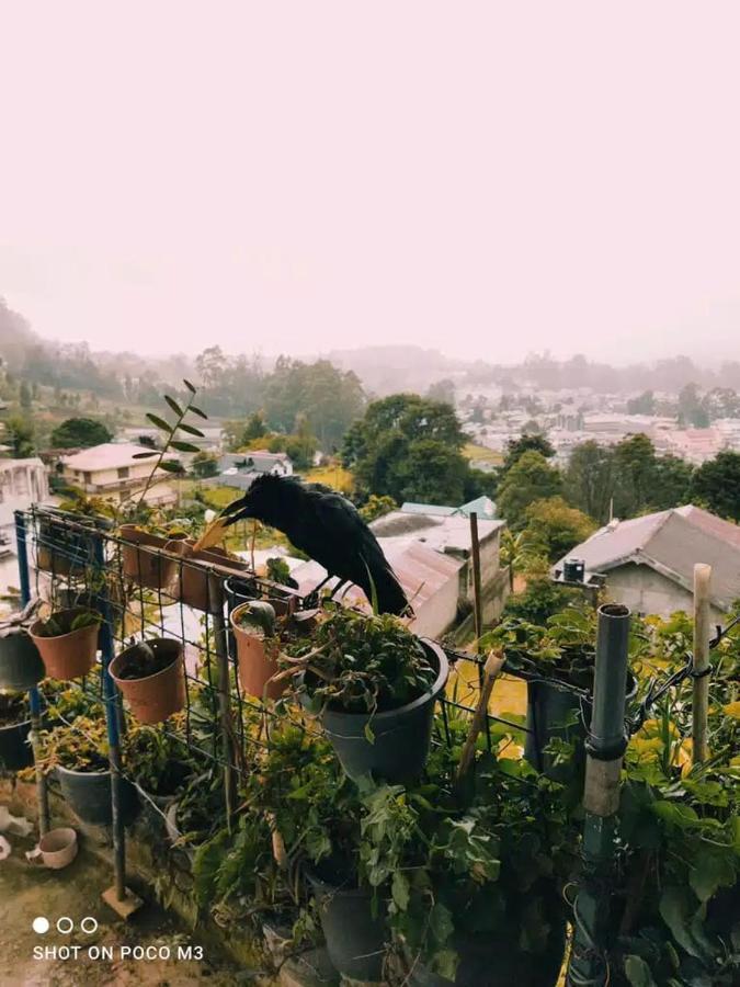 La Rose Guest House نوفارا إيلِيا المظهر الخارجي الصورة